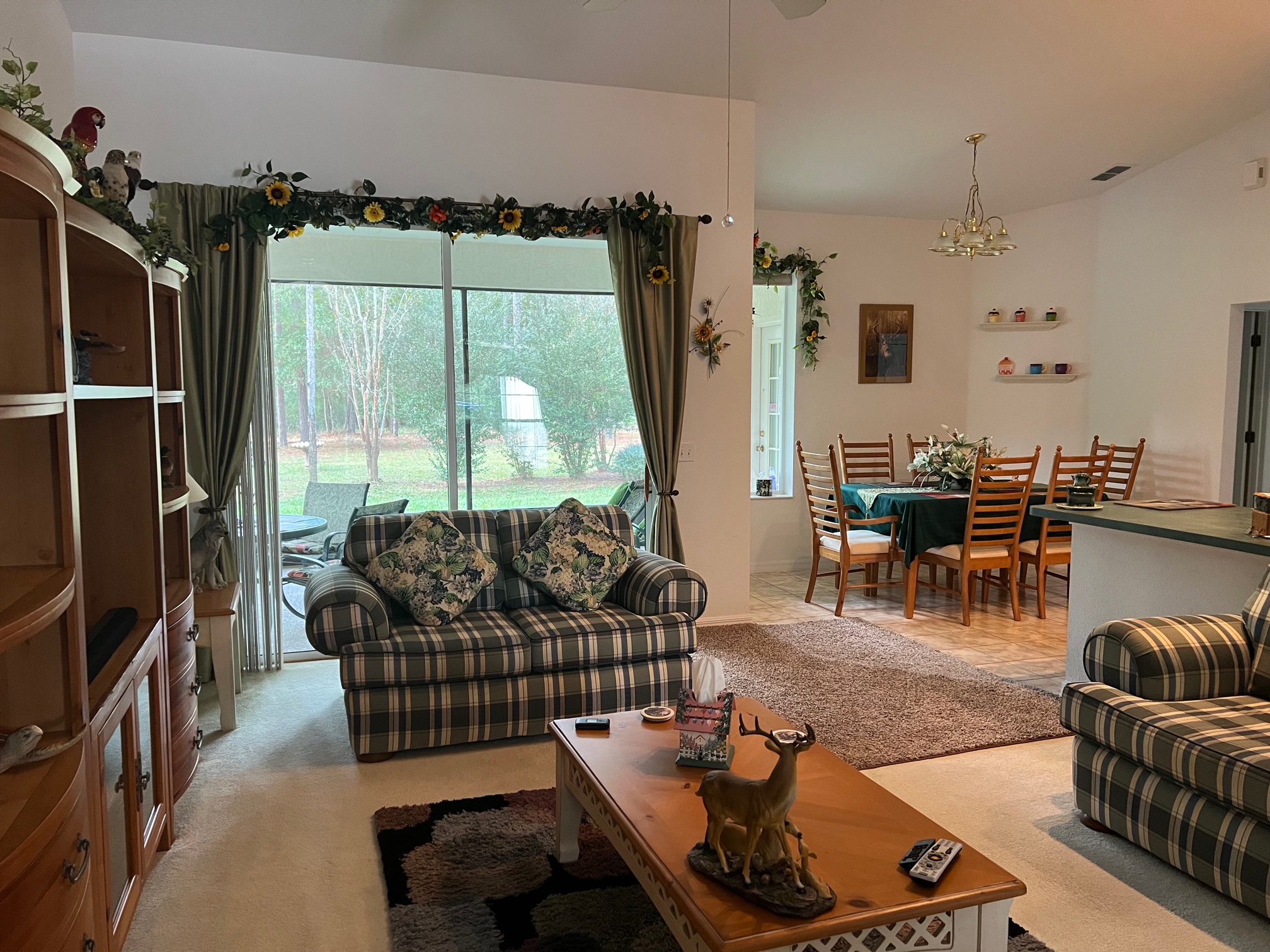 215th Court Rd, Dunnellon, FL 34431