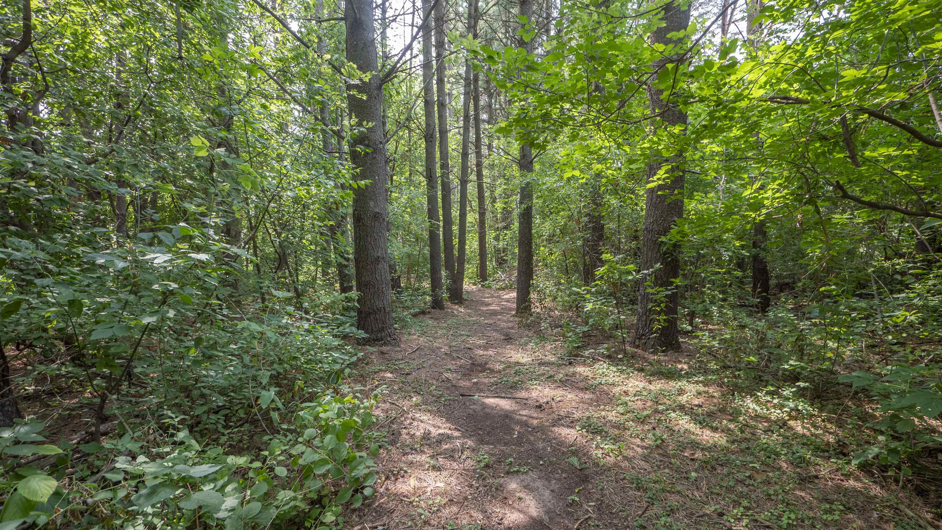 Waushara St, Berlin, WI 54923 #1