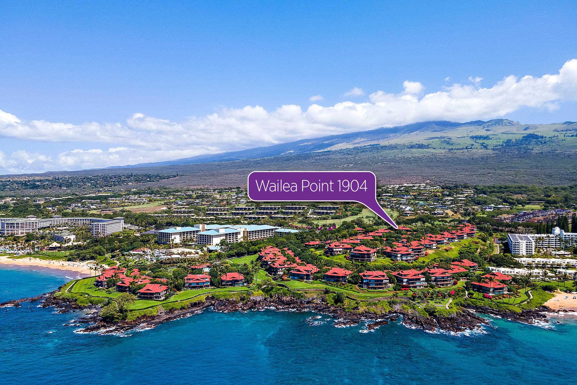 Wailea Alanui Dr, Kihei, HI 96753 #1
