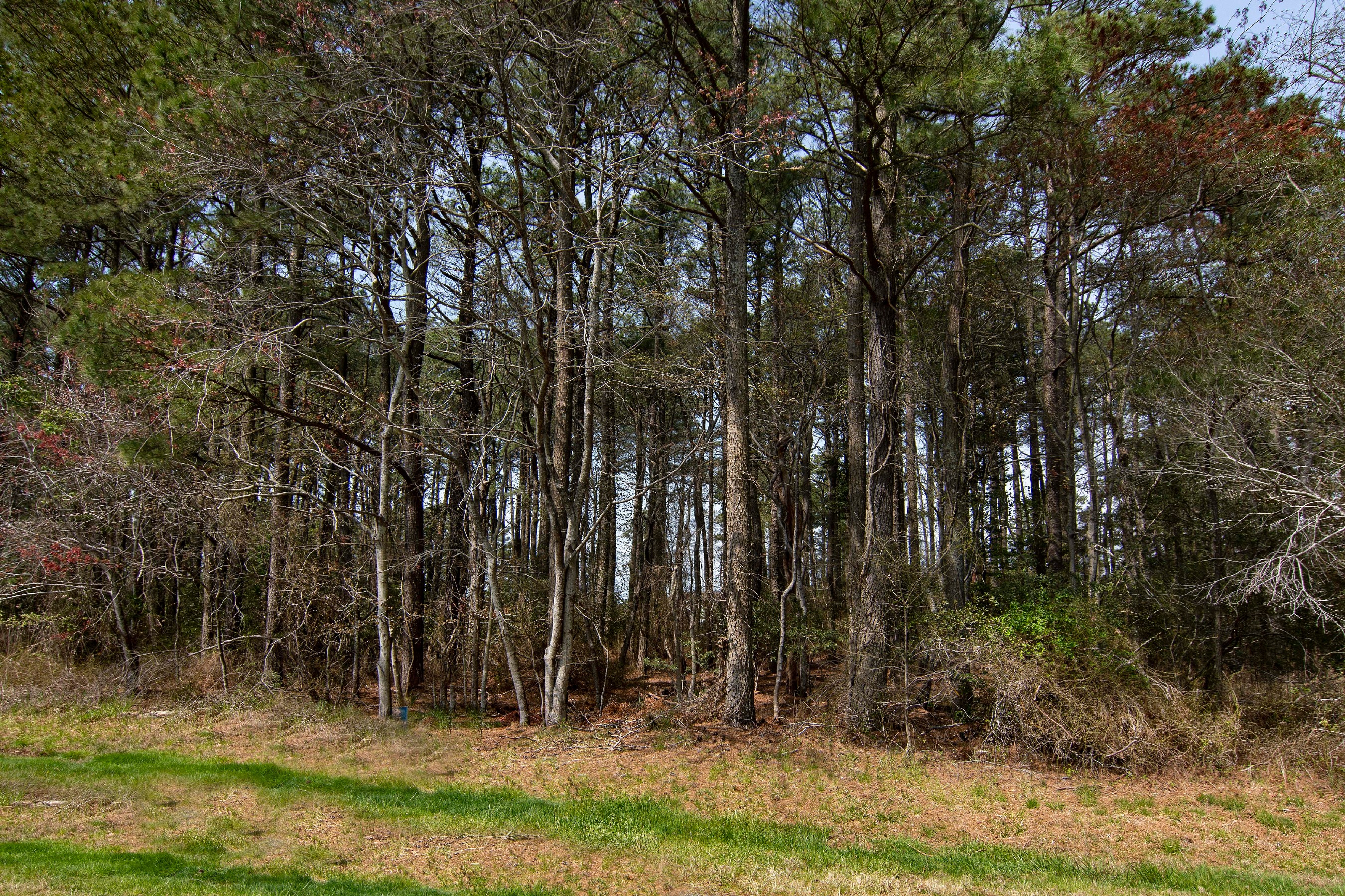 .22 Acre Lot in Captain's cove