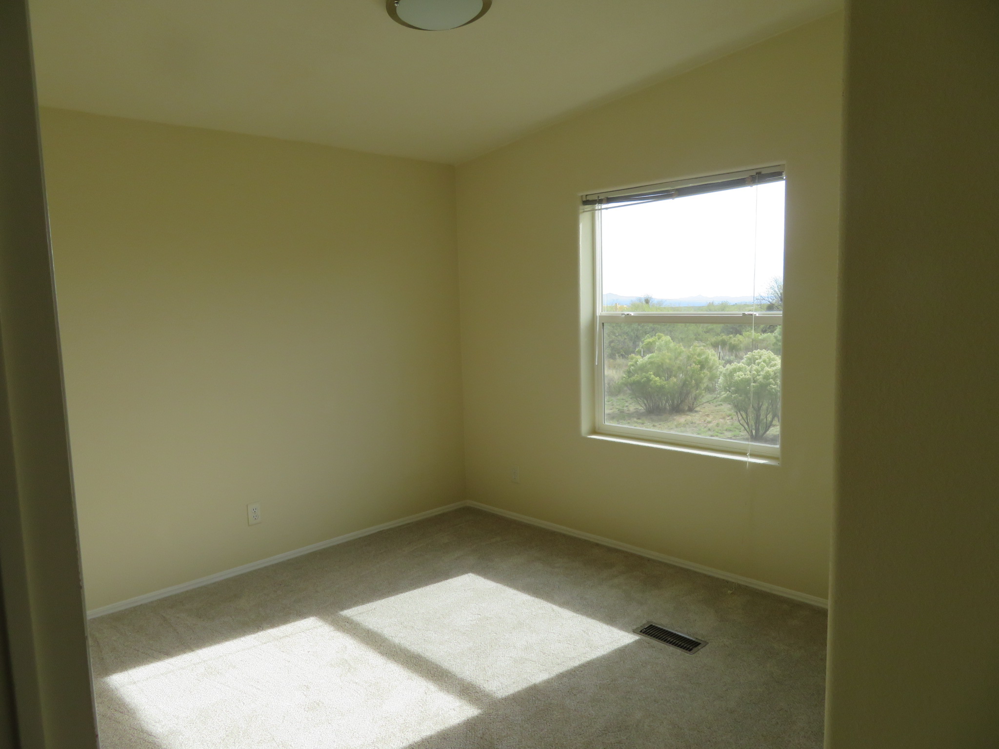 LA Paloma Ln, Hereford, AZ 85615 #1