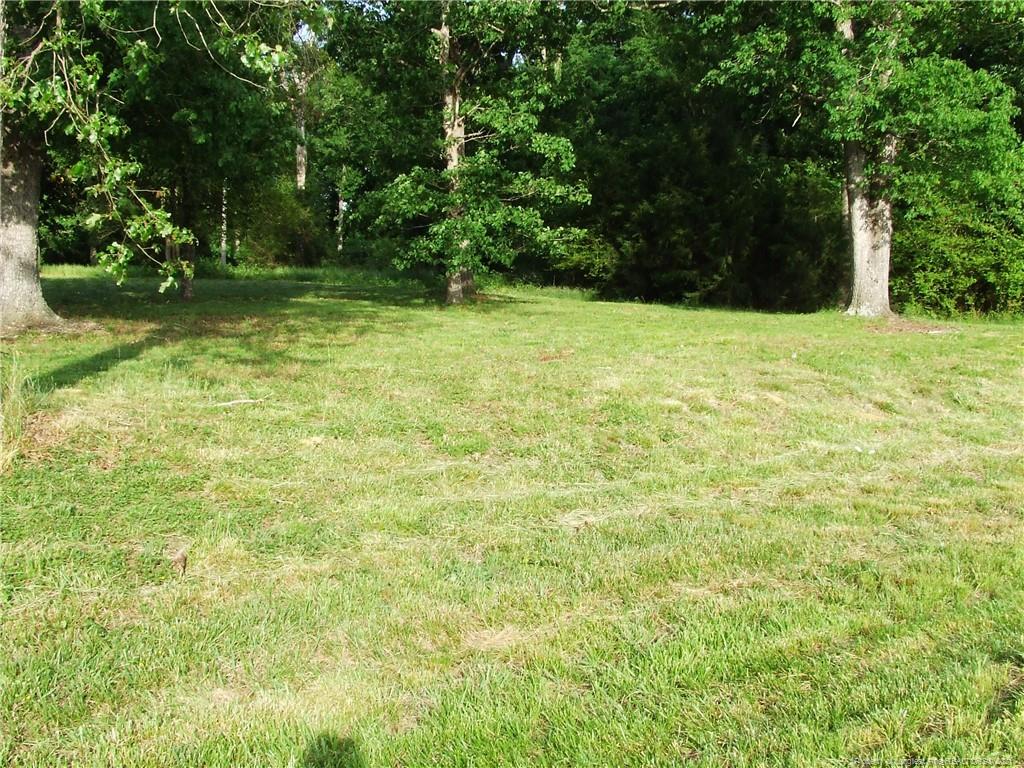 NC Highway 22 42 , Bennett, NC 27208 #1