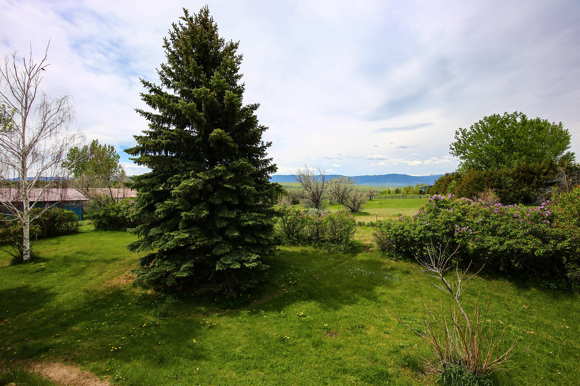 Red Fox Dr, Sheridan, WY 82801