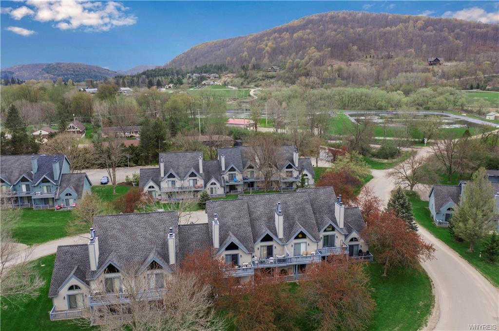 Wildflower , Ellicottville, NY 14731