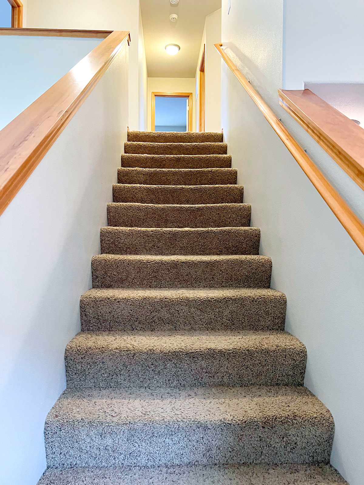 Bailey St, Lacey, WA 98513 #1