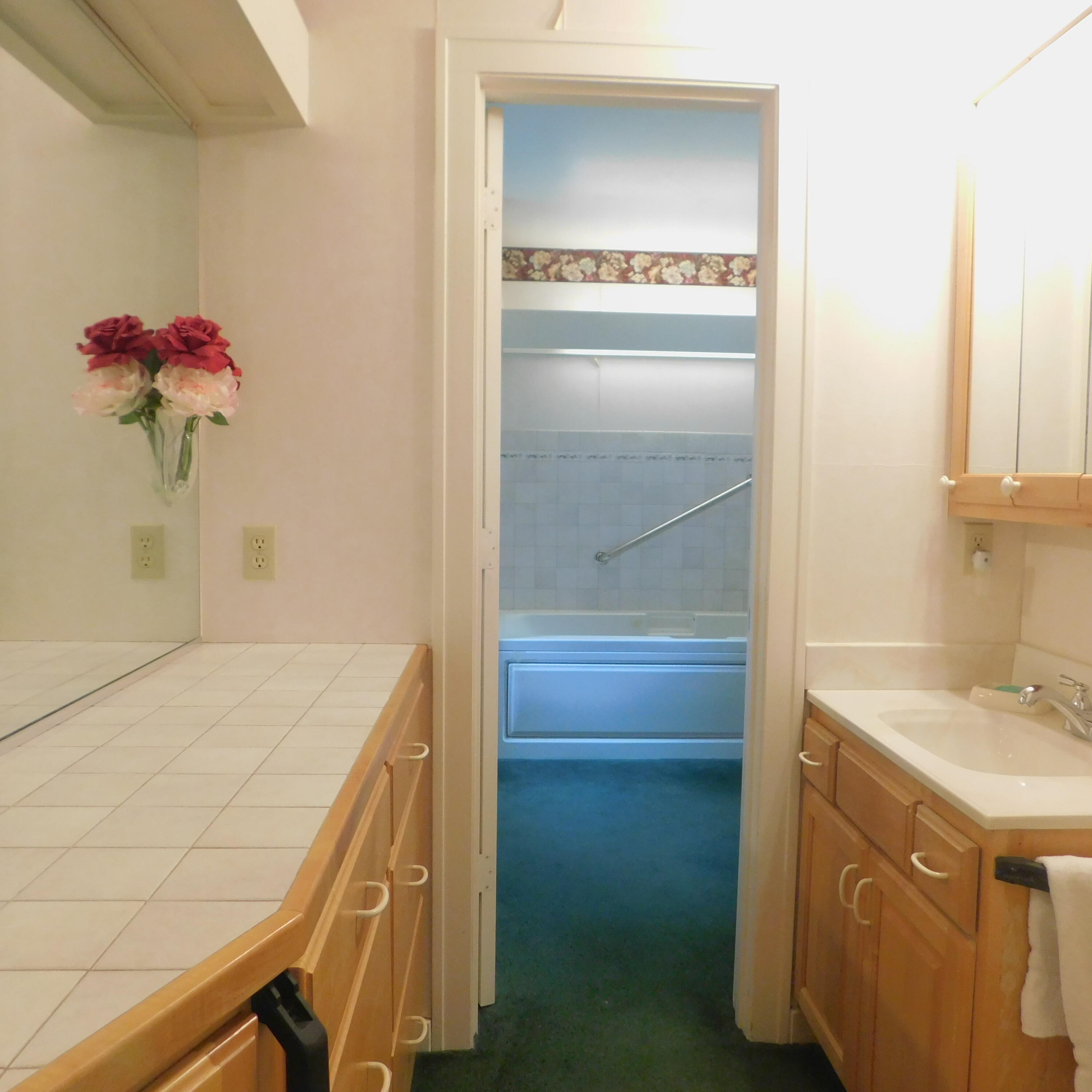 Baldwin Ave, Fremont, MI 49412 #1