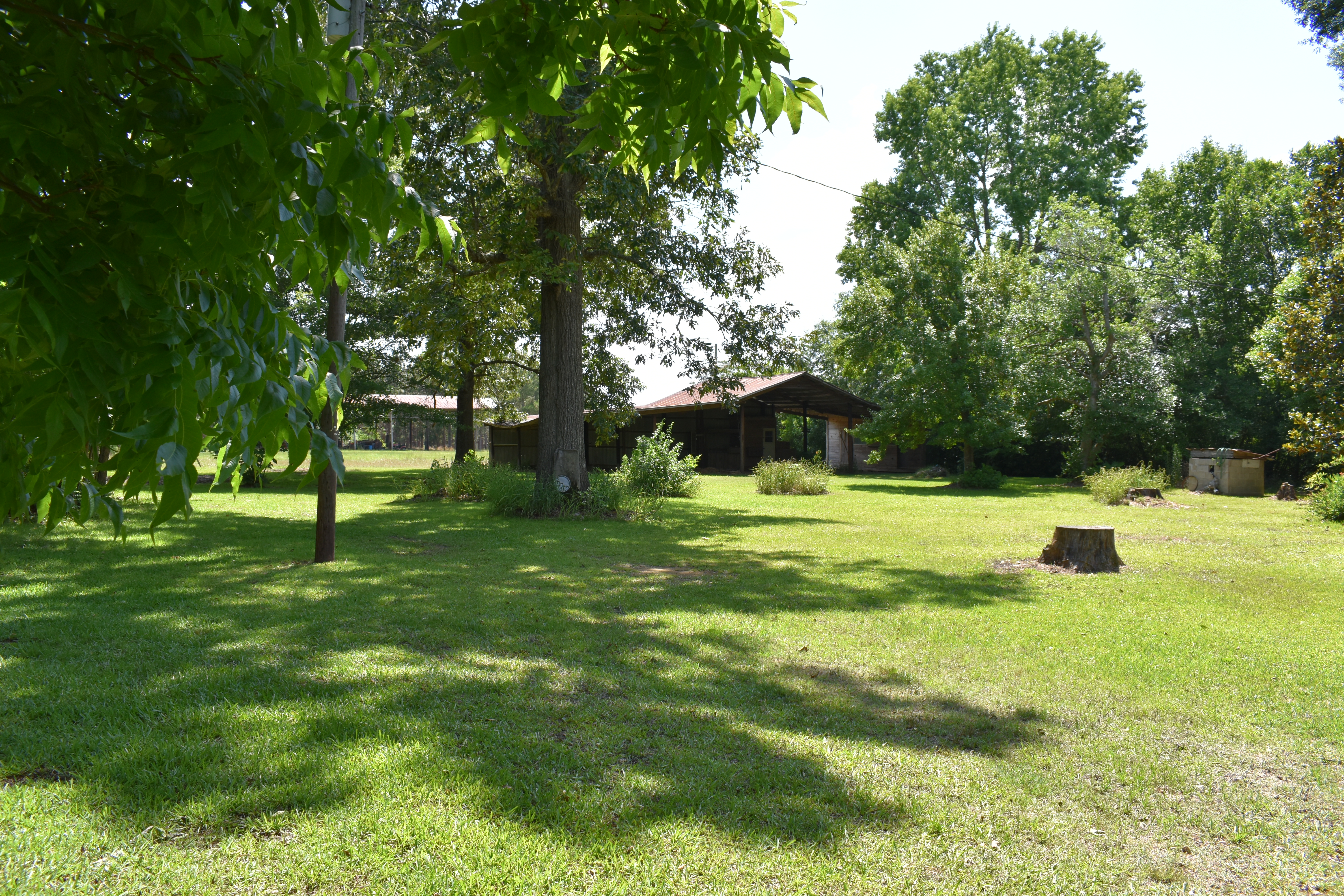 Mount Olive Rd, Dublin, GA 31021 #1