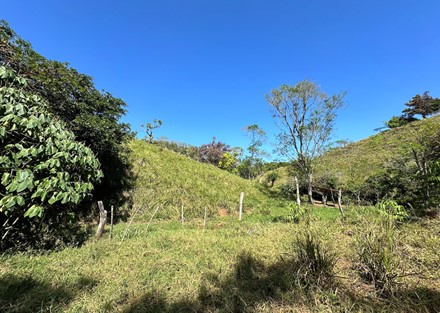 Farm to Develop in Pacuarito