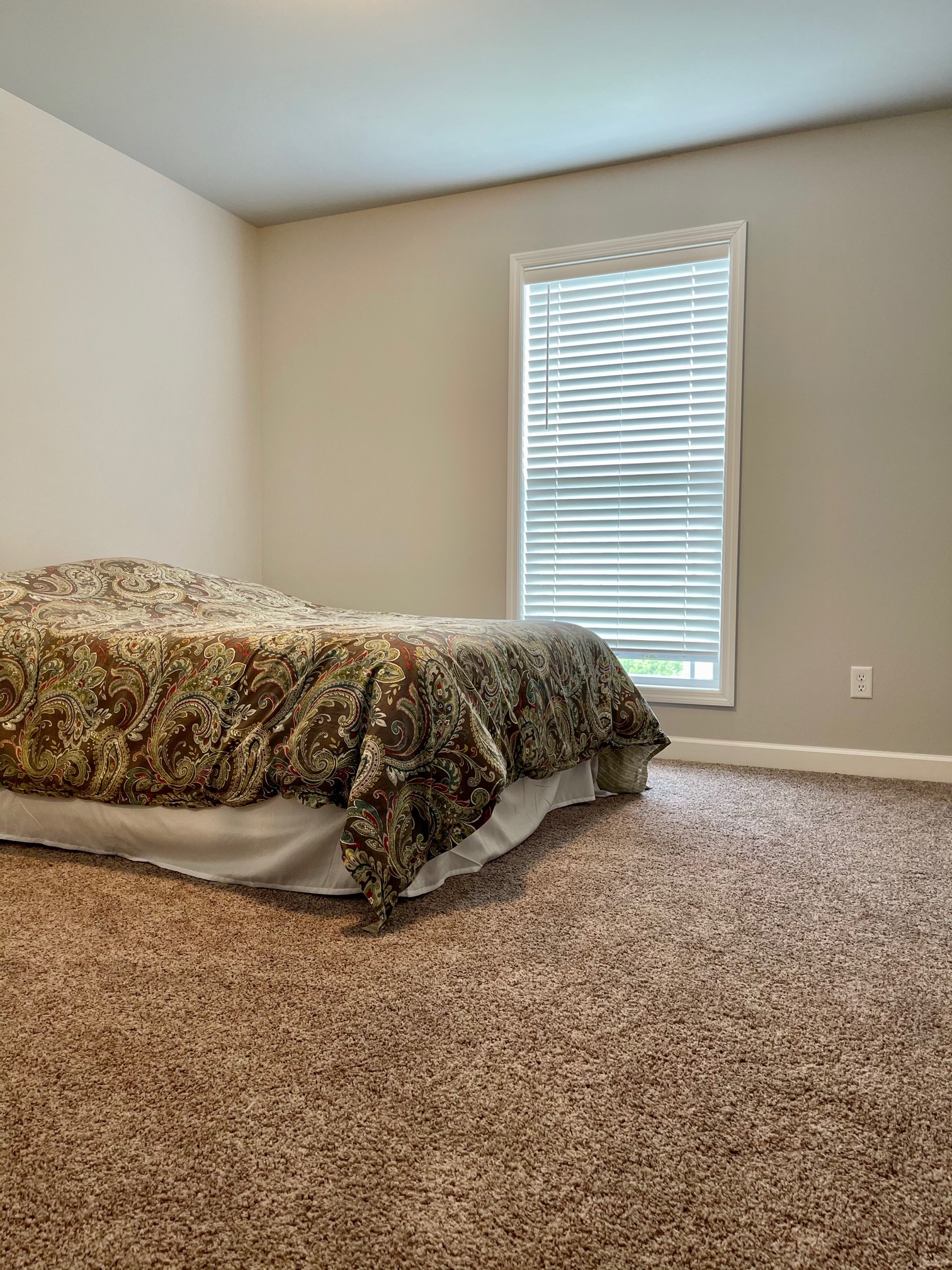 County Road 1564 , Baileyton, AL 35019 #1