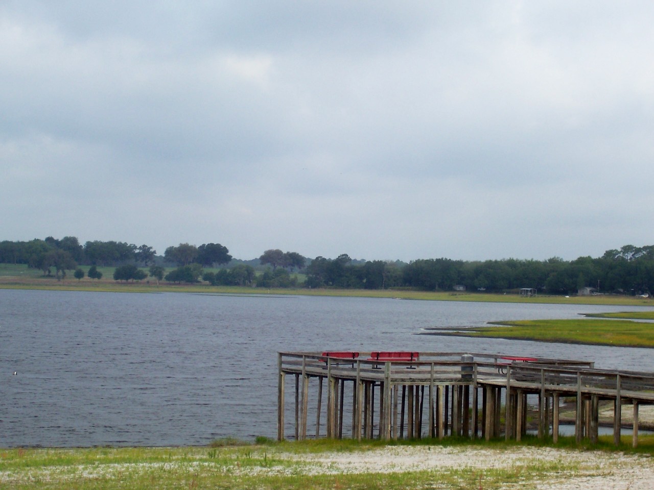 Shorewood Dr, Dunnellon, FL 34431 #1