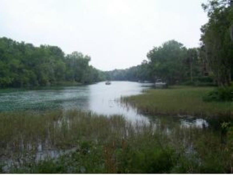 215th Court Rd, Dunnellon, FL 34431 #1