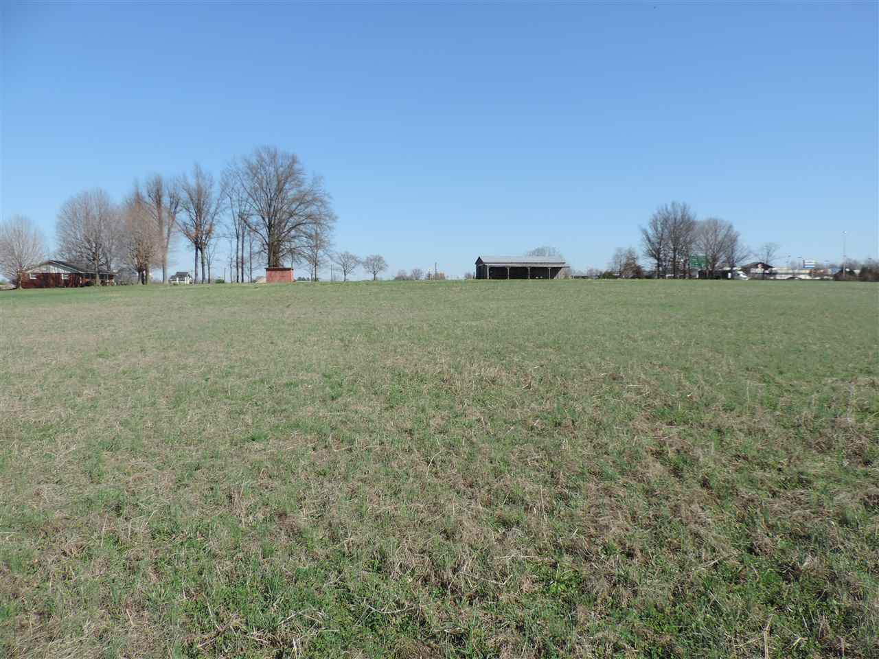 Three Springs Rd, Bowling Green, KY 42104 #1