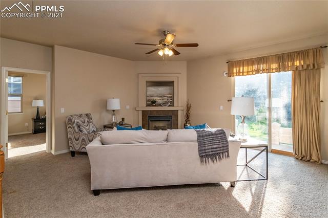 Crooked Vine Ct, Colorado Springs, CO 80921 #1
