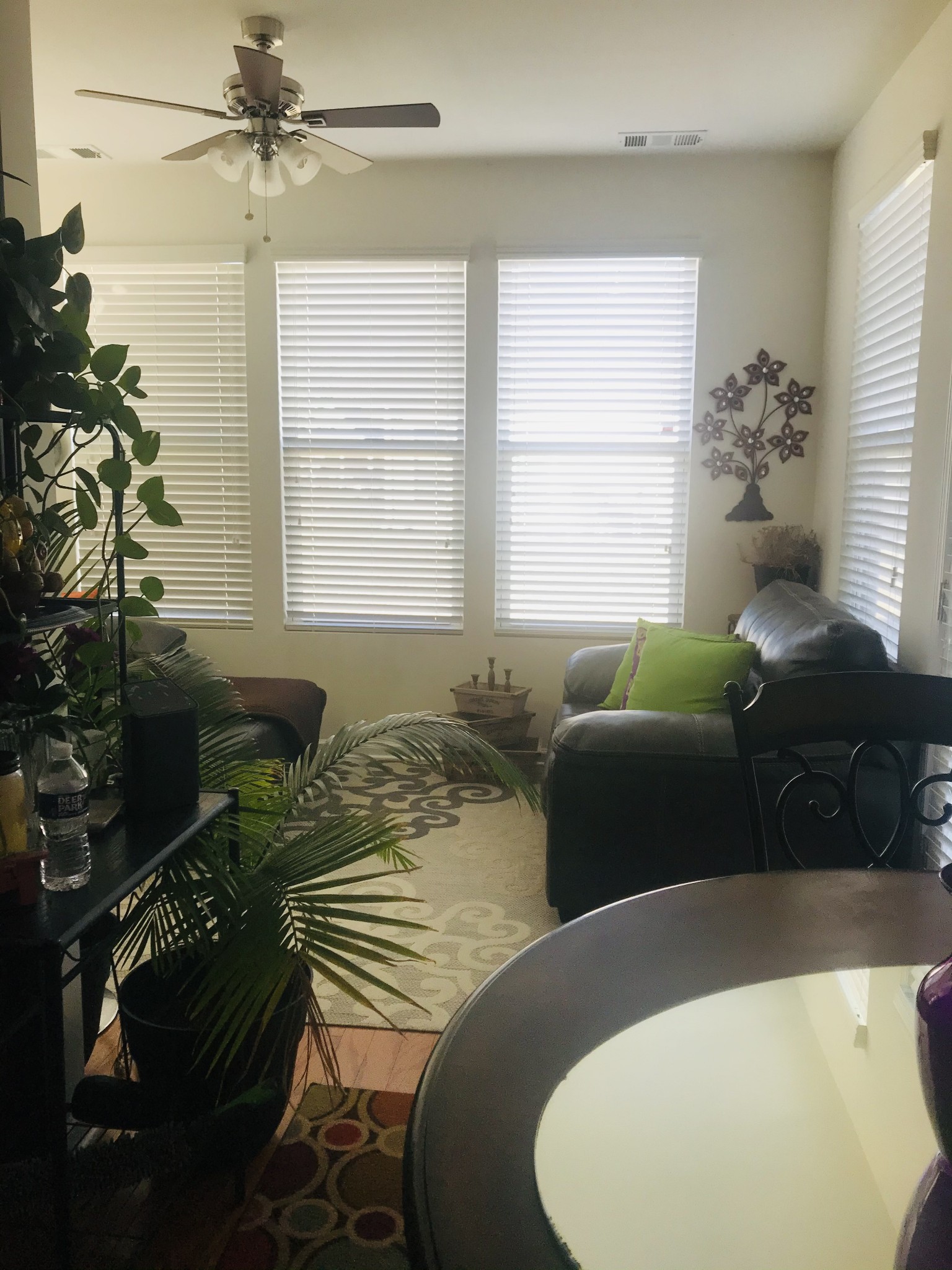 Calendula Way, Murfreesboro, TN 37128 #1