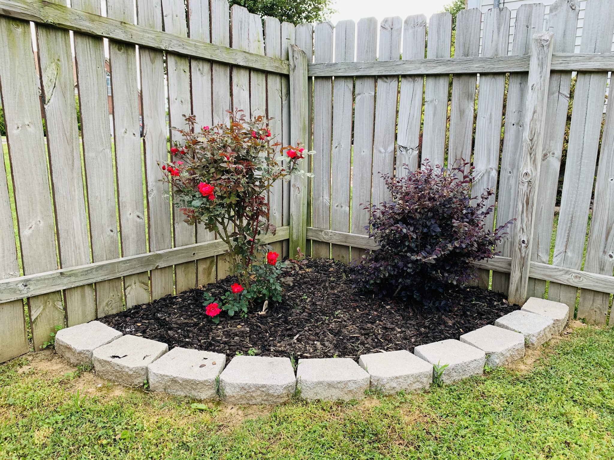 Belinda Pkwy, Mount Juliet, TN 37122 #1