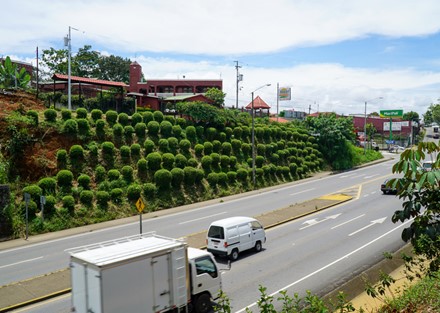 Premier Commercial Site in San Isidro de El General