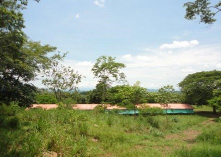Processing farm with 126 hectares in Guanacaste for Sale