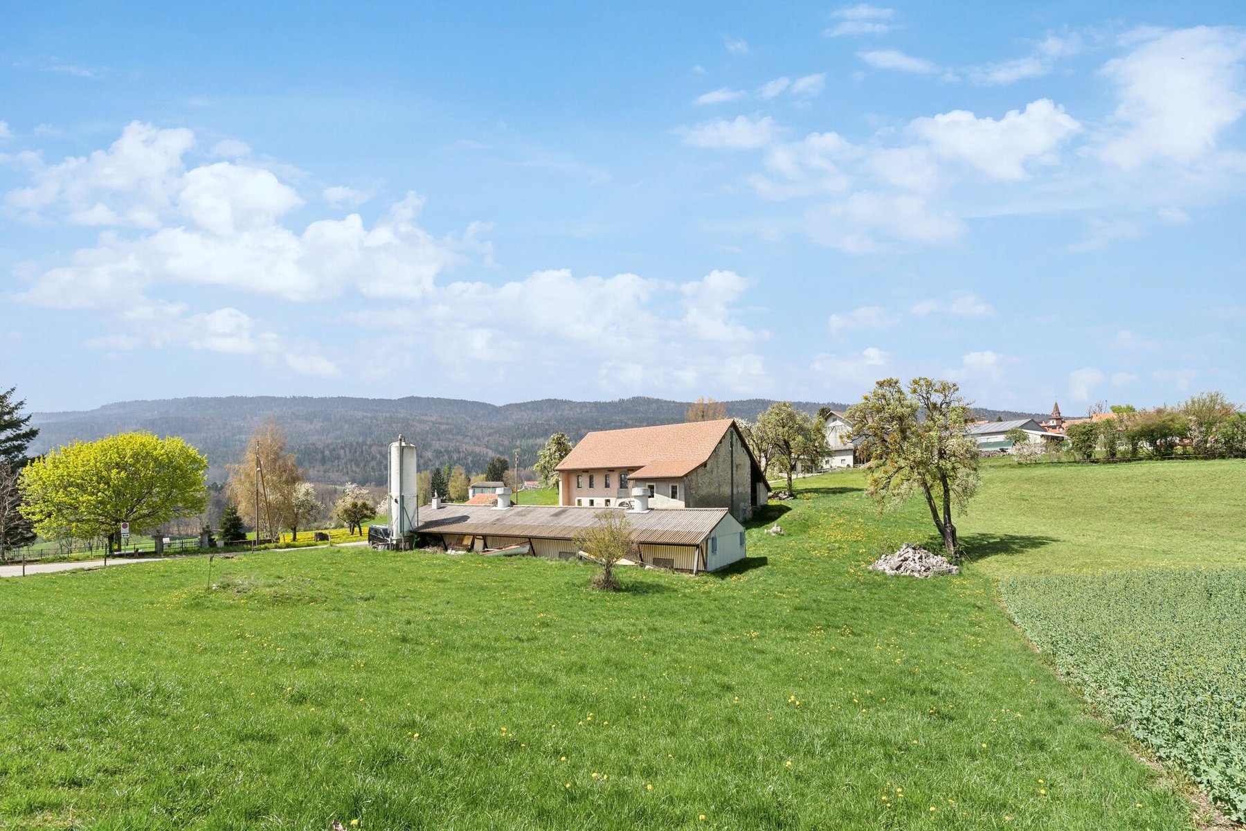 Large, partially renovated farmhouse for families in search of nature