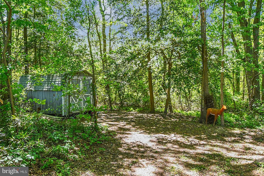 Essex Pl, Montross, VA 22520 #1