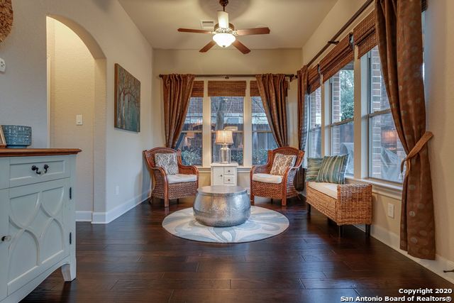 Tiger Lily , San Antonio, TX 78260