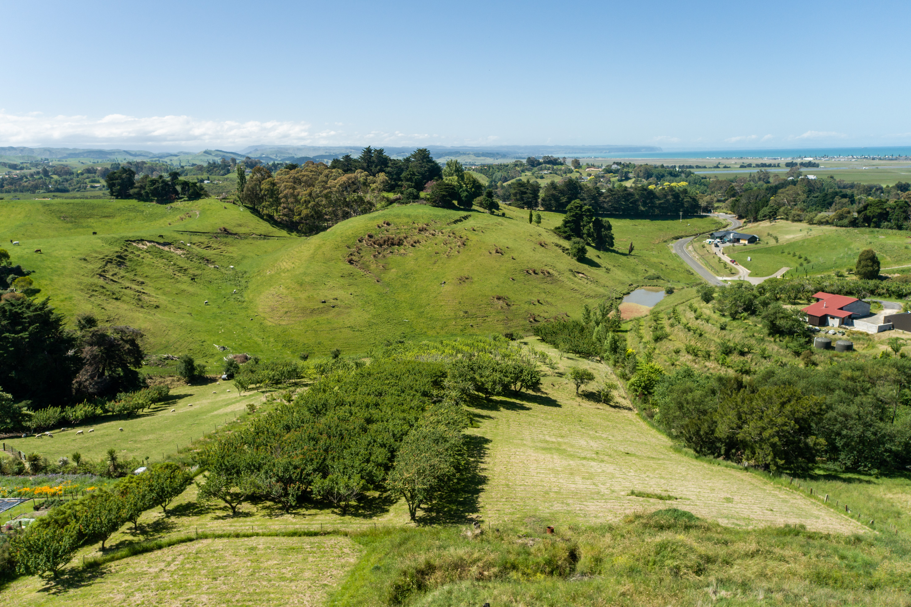 Lot 2, 226 Puketitiri Road