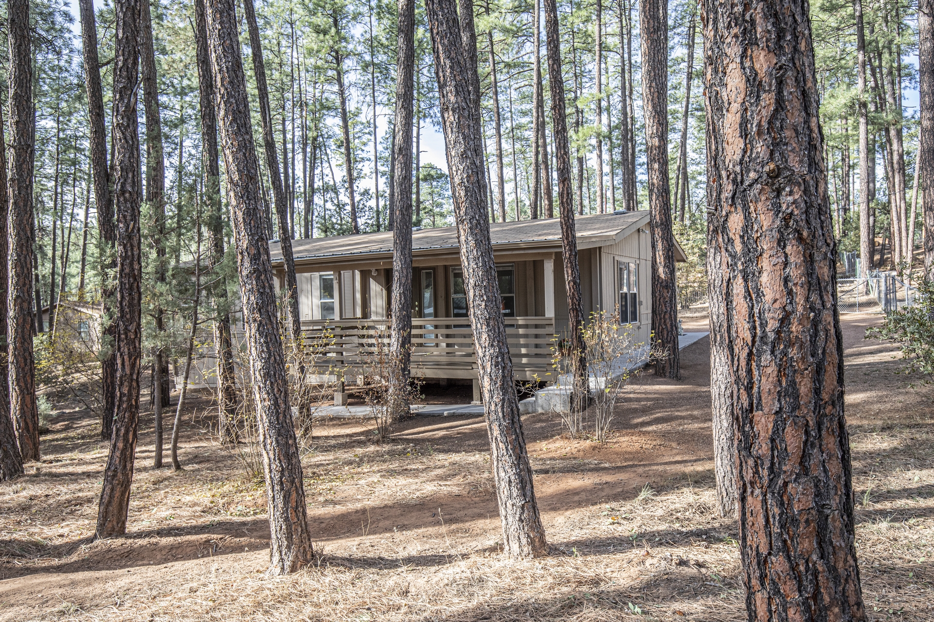 Dans Hwy, Pine, AZ 85544 #1