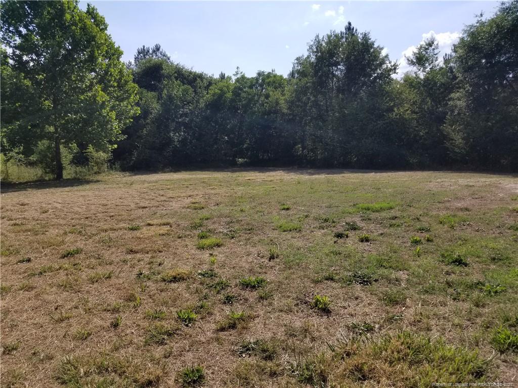 Beulah Brown Rd, Sanford, NC 27332 #1