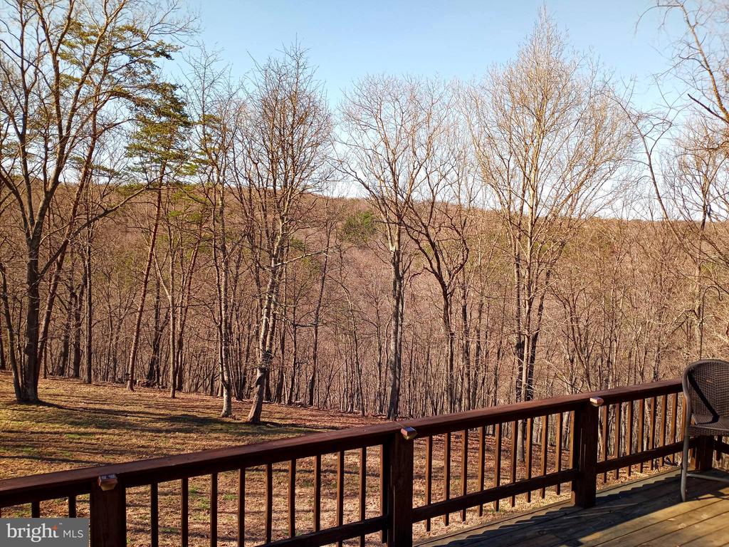 Whitetail Ridge Rd, Burlington, WV 26710