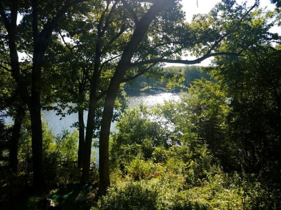 Watts Springs Park Rd, Edgerton, WI 53534 #1