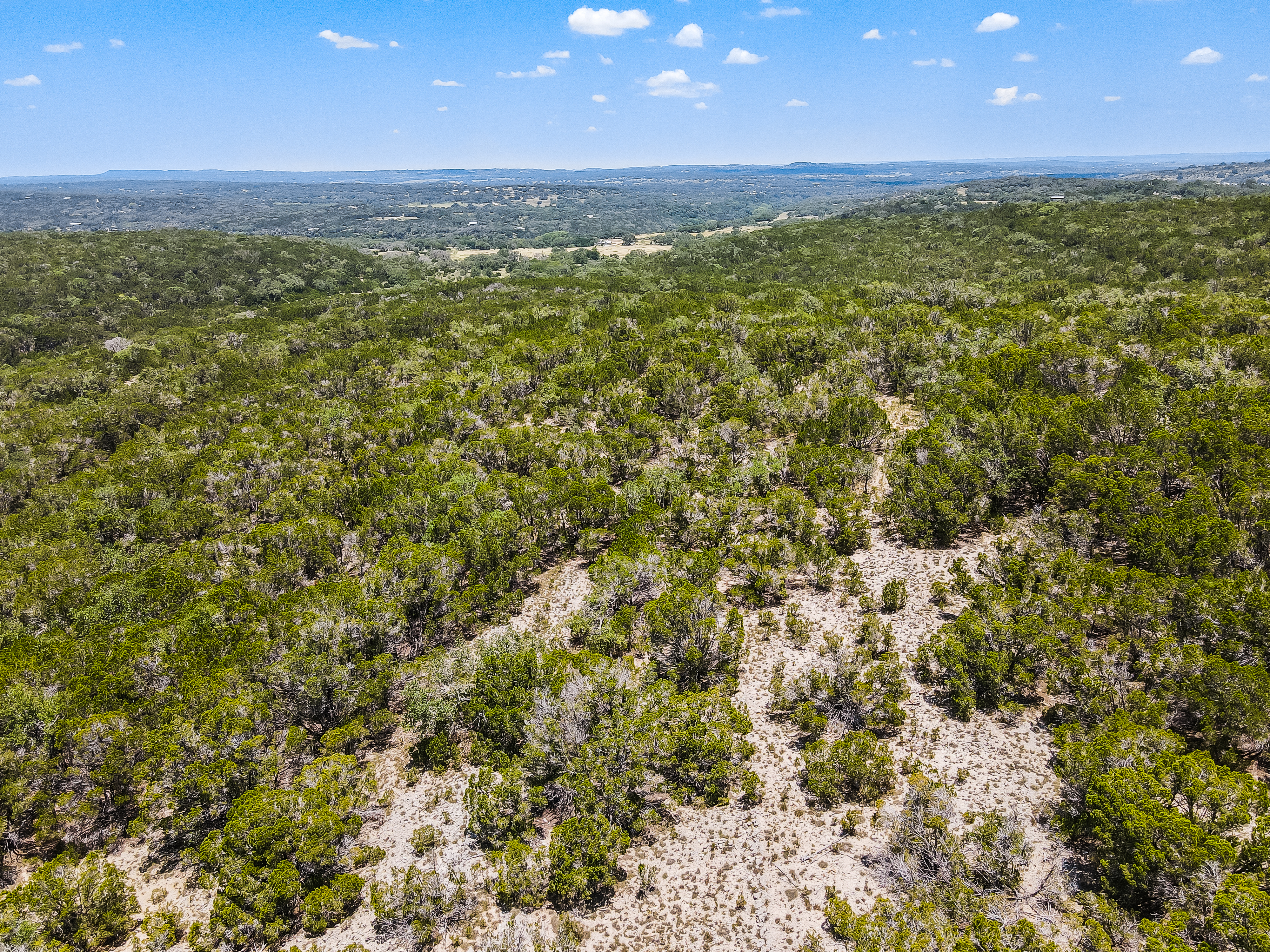 1202 Overland Stage Road, Dripping Springs, TX 78620