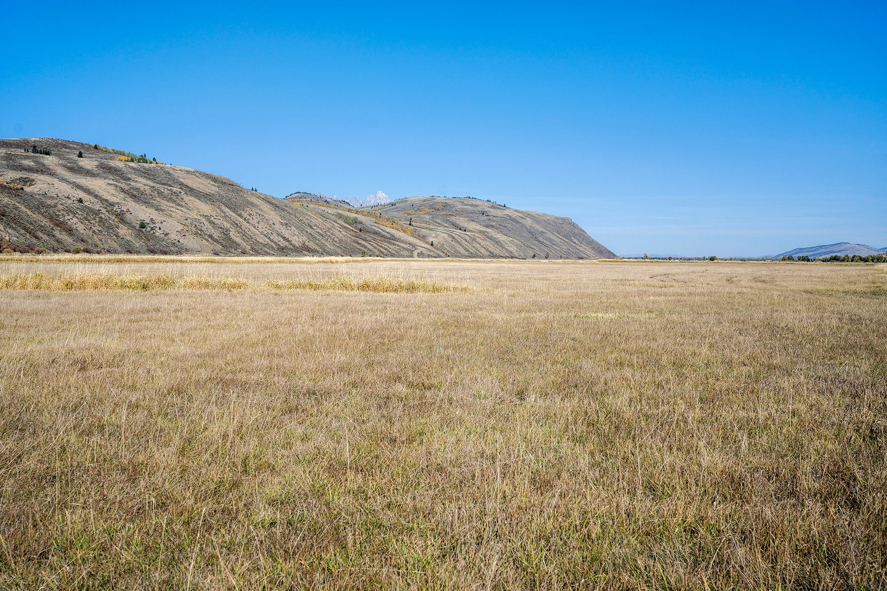 Spring Gulch West