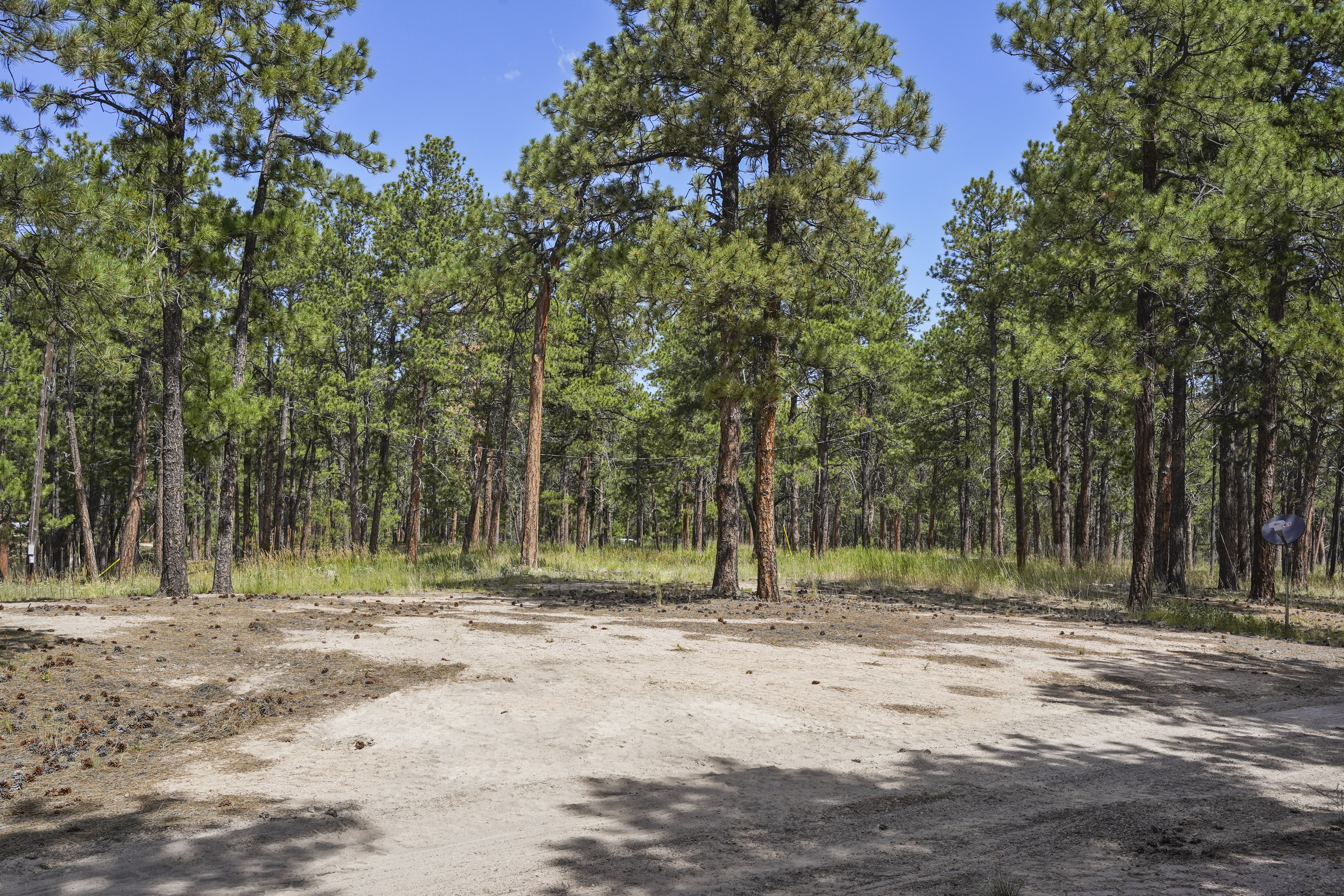 Almost 5 acres of gorgeous heavily wooded acreage in desirable S Black Forest