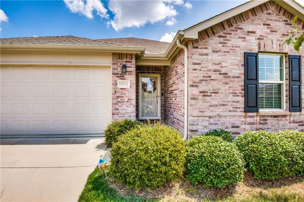 Abby Creek Dr, Little Elm, TX 75068 #1
