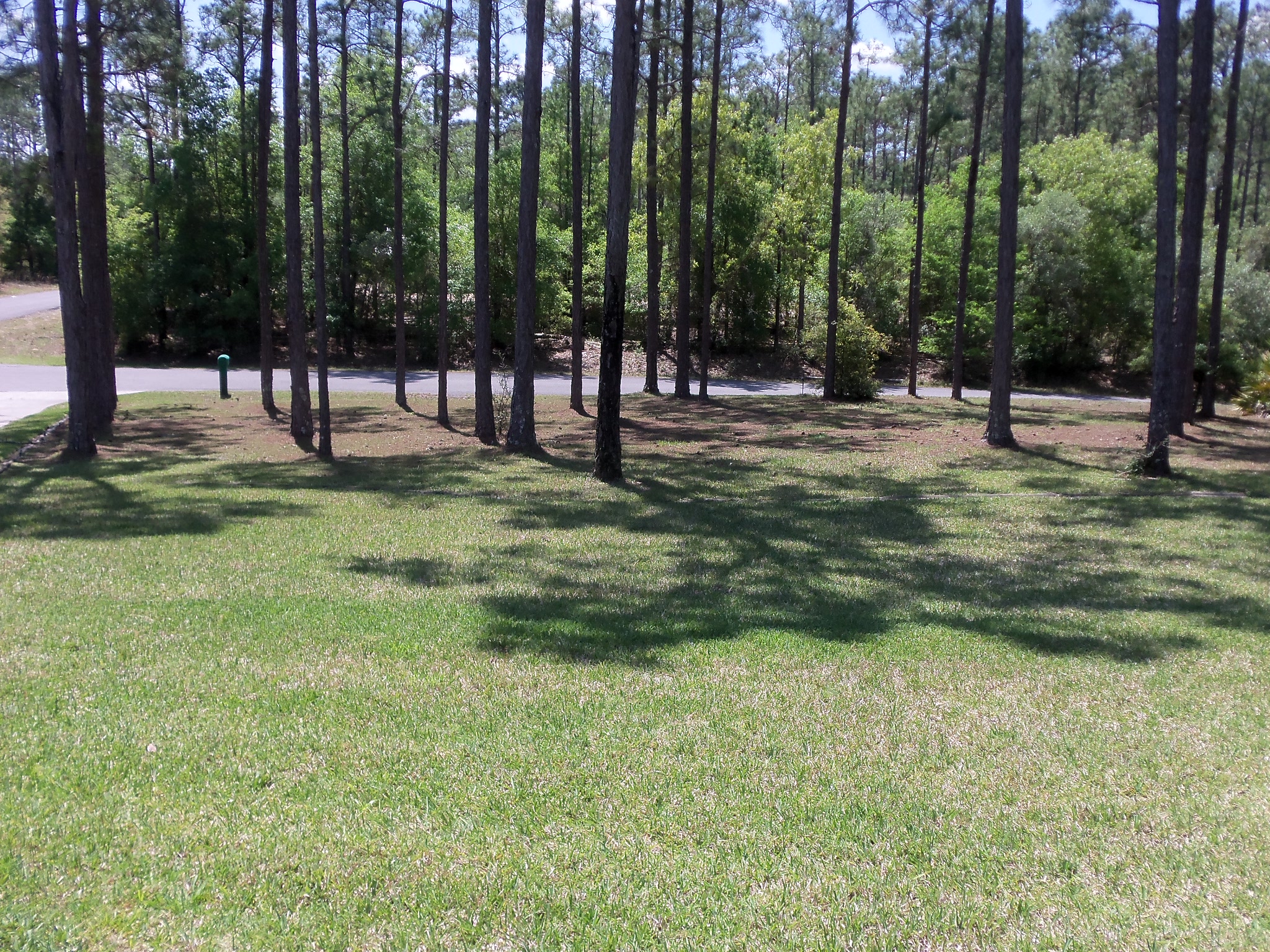 207th Cir, Dunnellon, FL 34431 #1