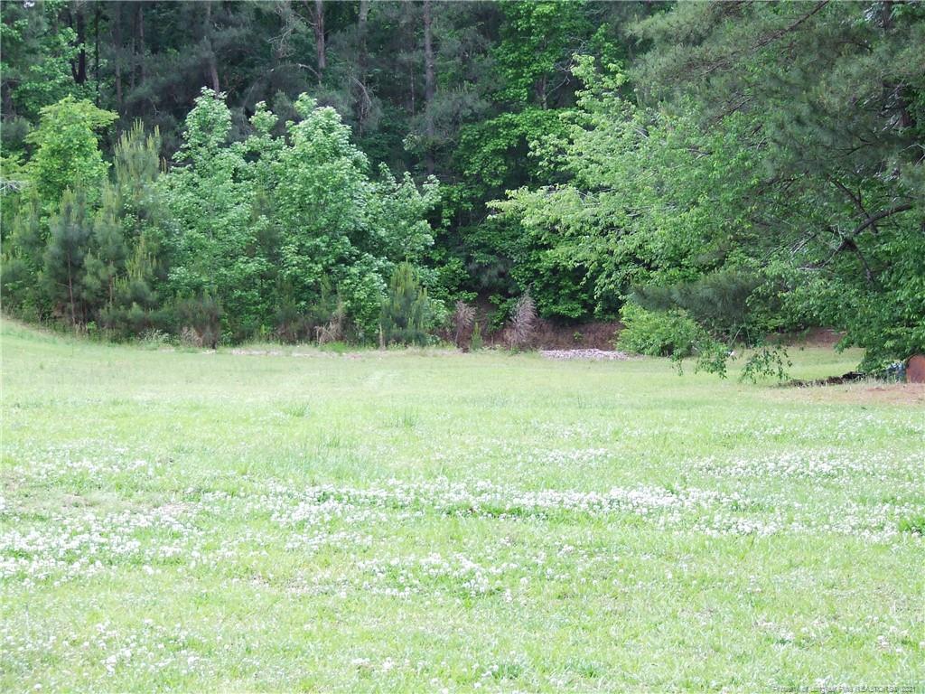 Carbonton Rd, Sanford, NC 27330