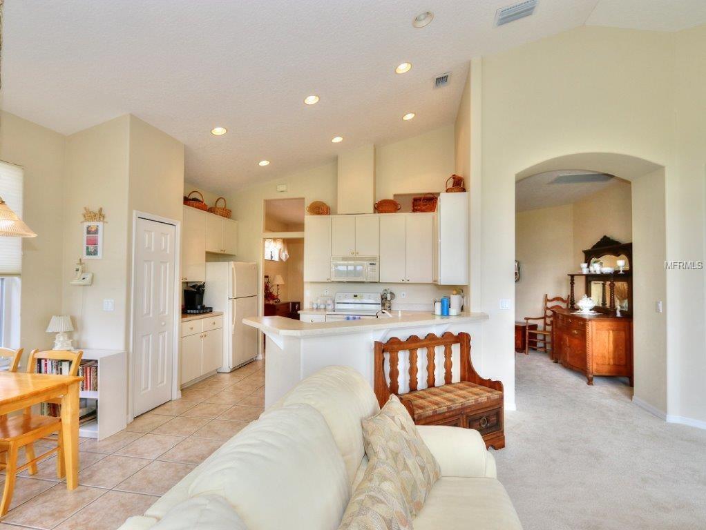 Street Andrews Arc, Leesburg, FL 34748 #1