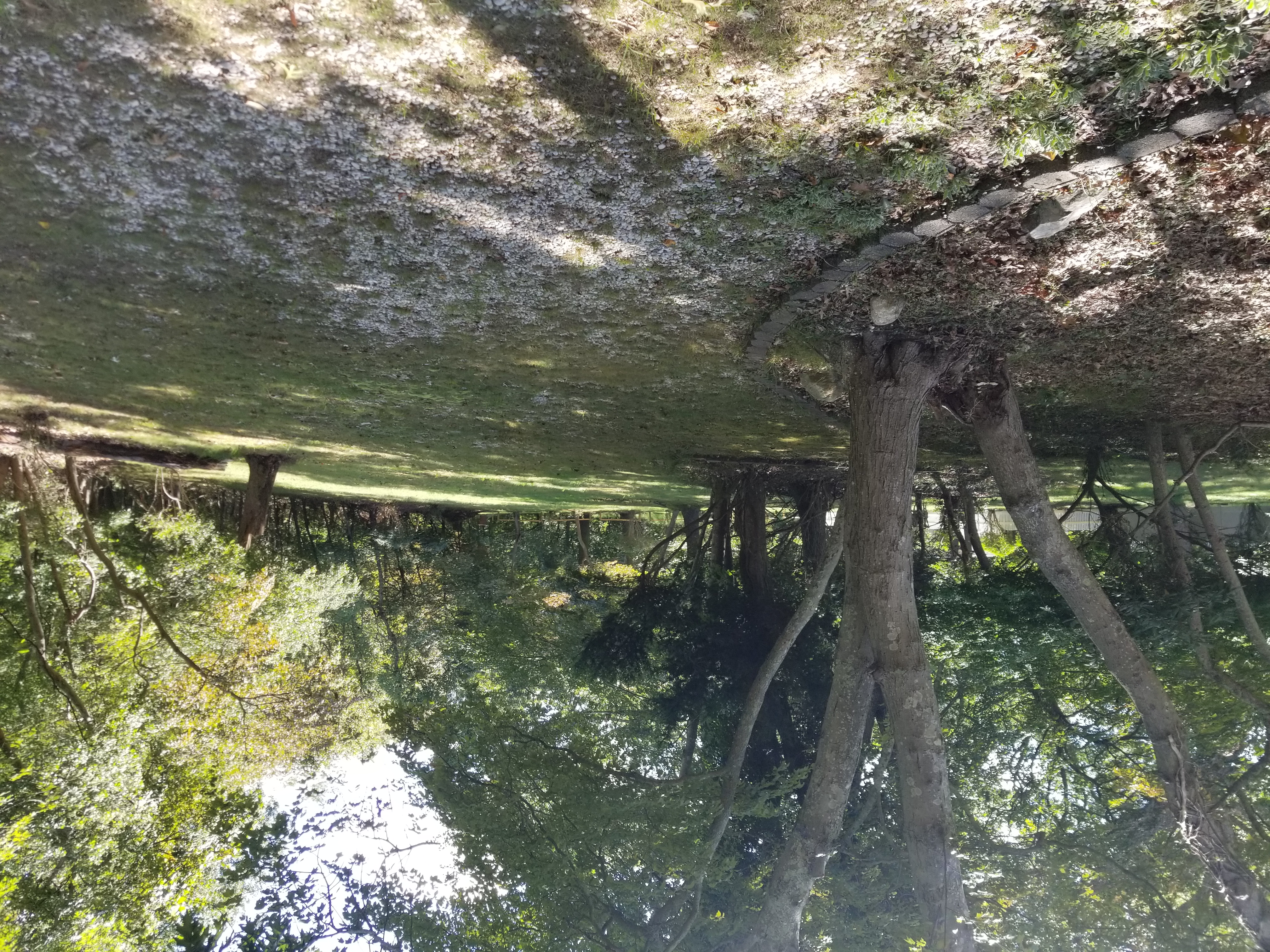 Yaphank Middle Island Rd, Yaphank, NY 11980 #1