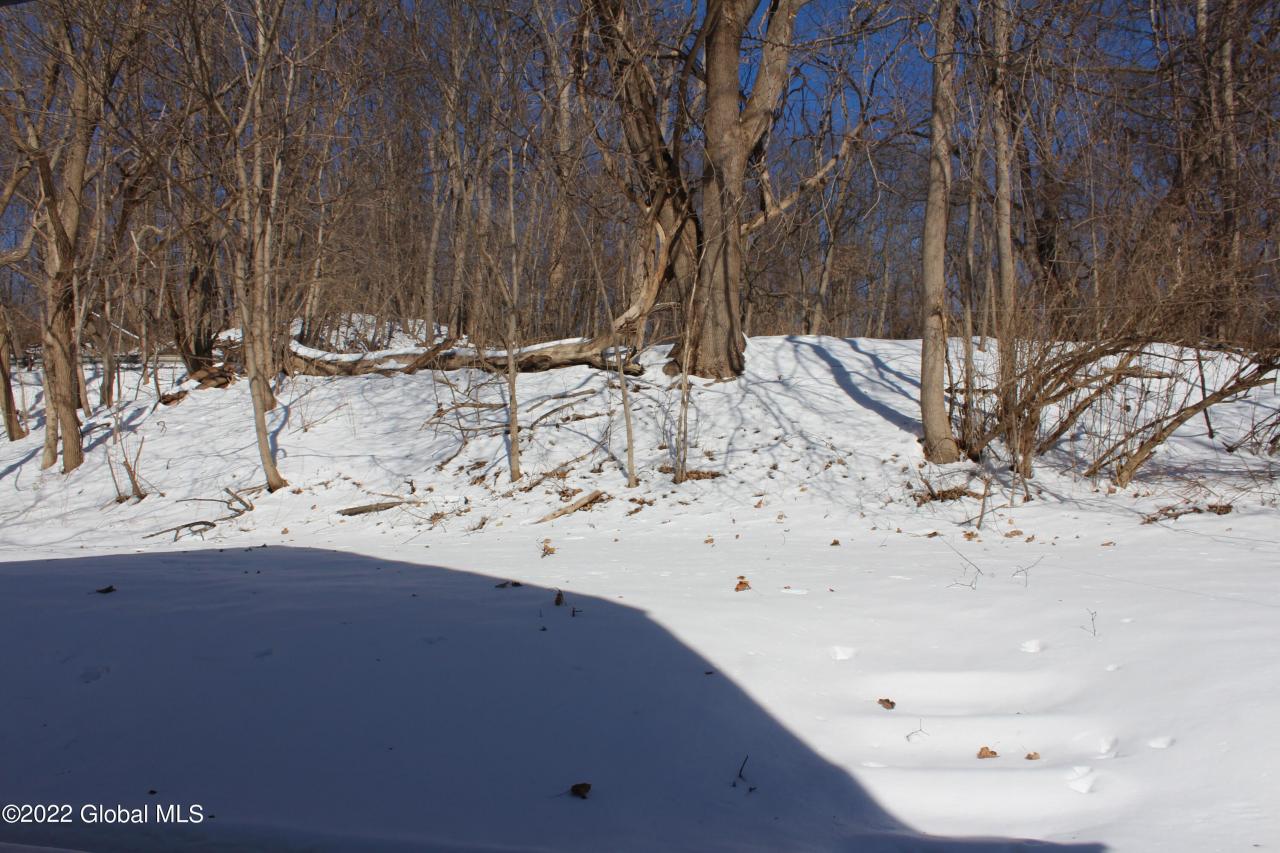 Chapman Dr, Amsterdam, NY 12010 #1