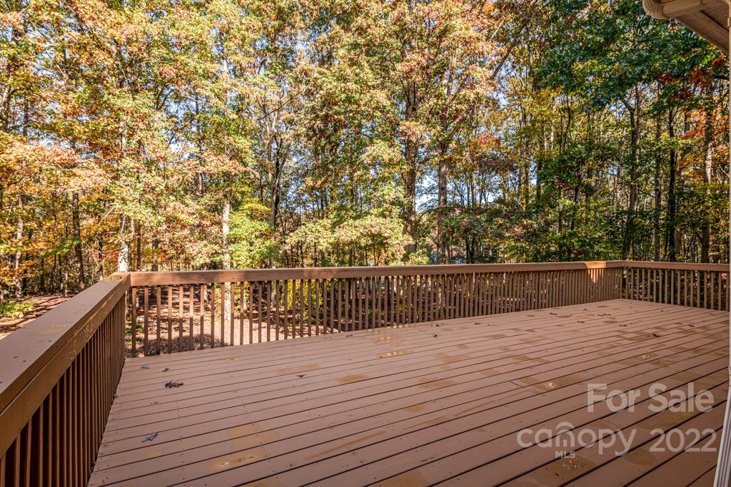 Polk Mountain Dr, Marshville, NC 28103 #1