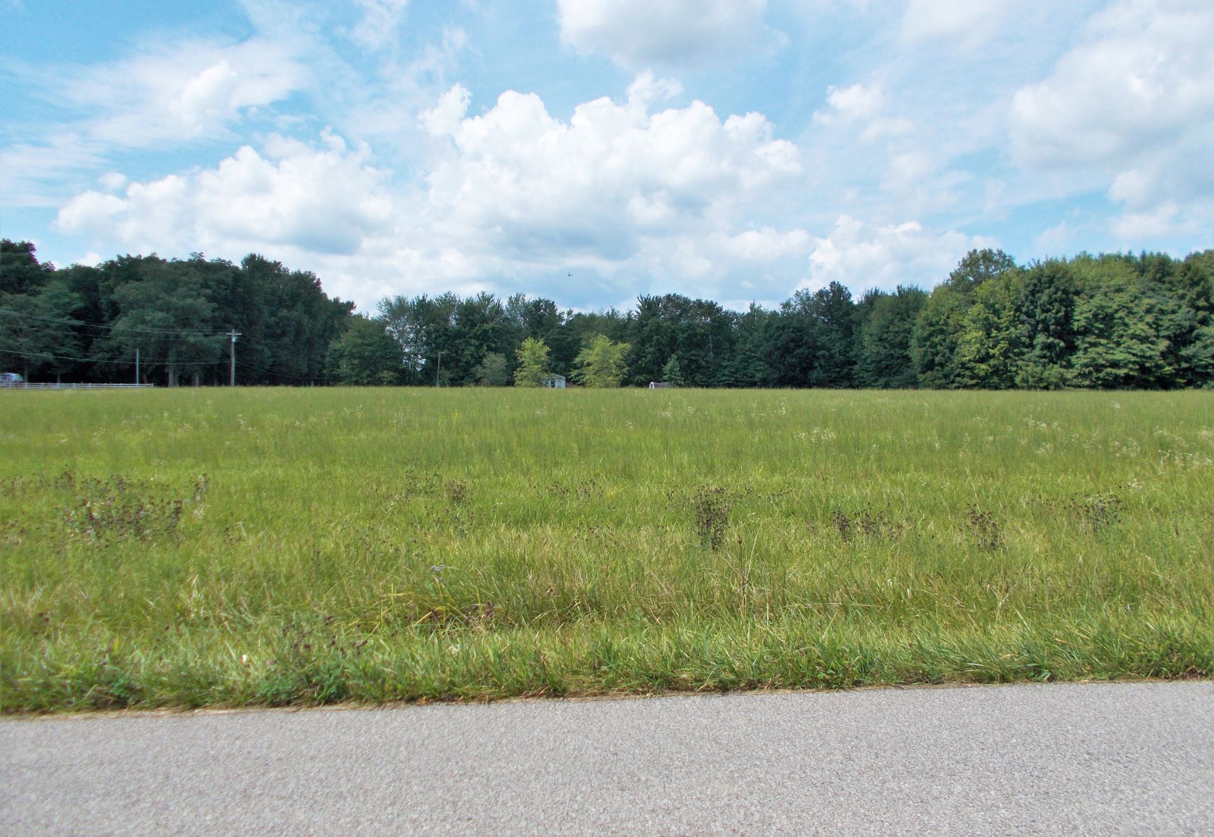 County Road 575 , Scipio, IN 47273 #1