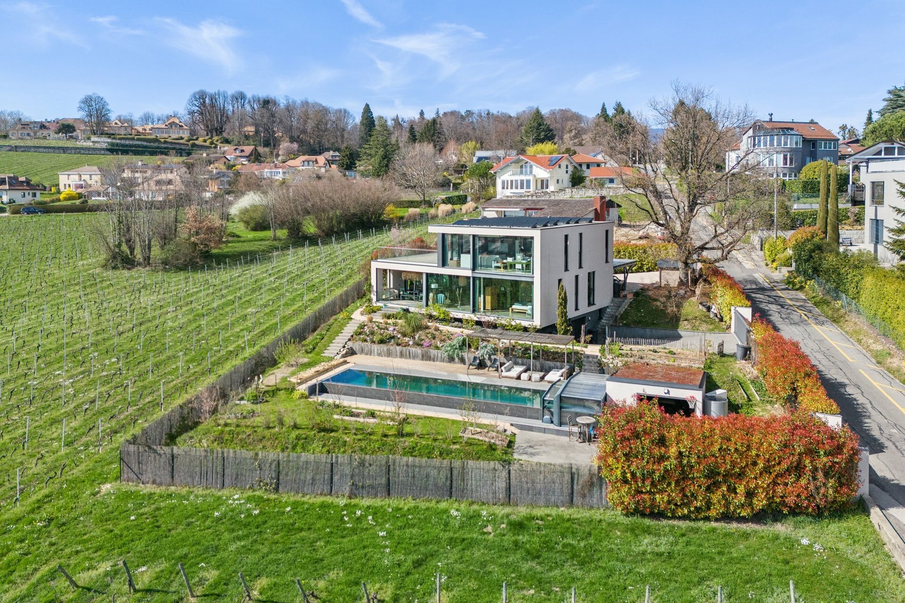 Contemporary elegance amidst vineyards with panoramic views