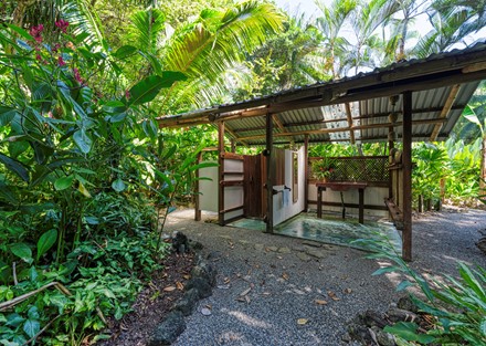 Beachfront Eco Lodge and Retreat in Cabo Matapalo, Osa Peninsula