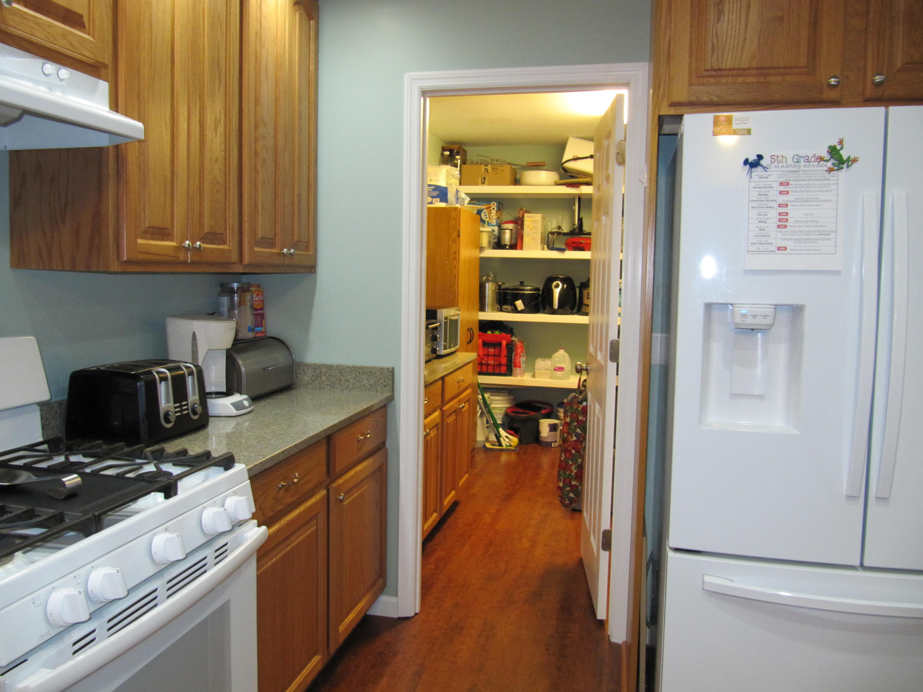 Smythe Dr, Summerville, SC 29485 #1