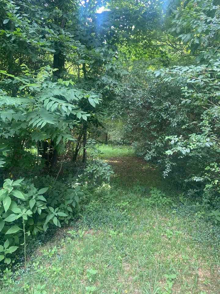 Perry Martin Rd, Woodburn, KY 42170 #1