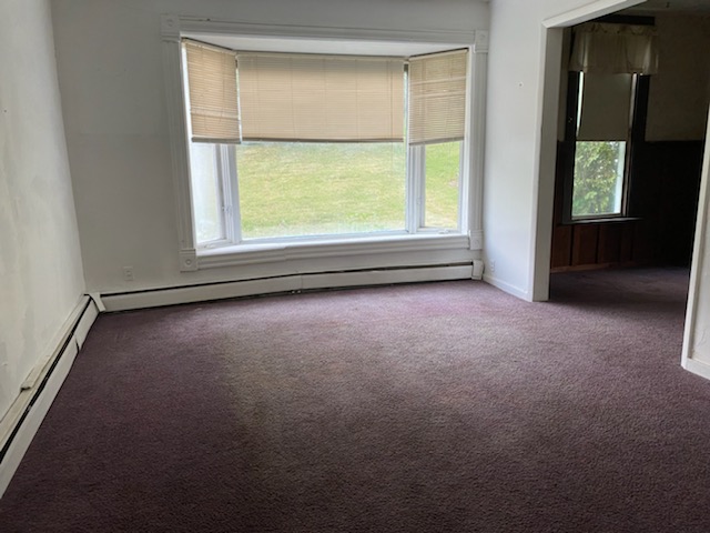 Erie St, Spring Valley, IL 61362 #1