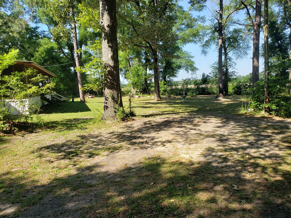 Merle Carr Dr, Bainbridge, GA 39817