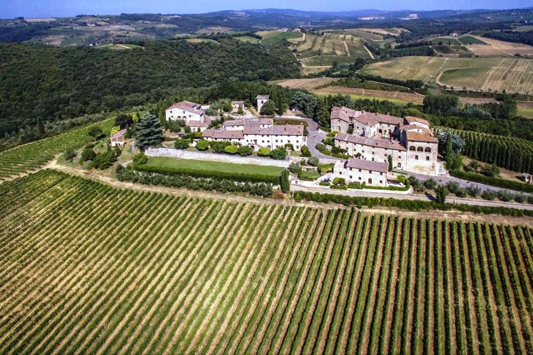 Historic castle with vineyard in 'Chianti'