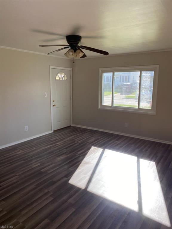 Delora Ave, Brooklyn, OH 44144 #1