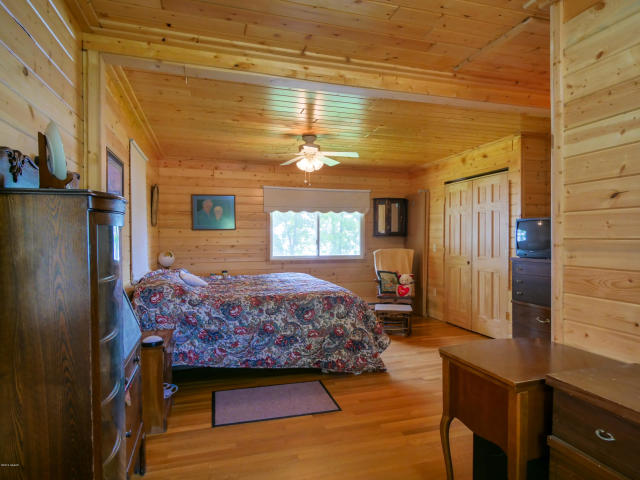 385th Ave, Dent, MN 56528 #1