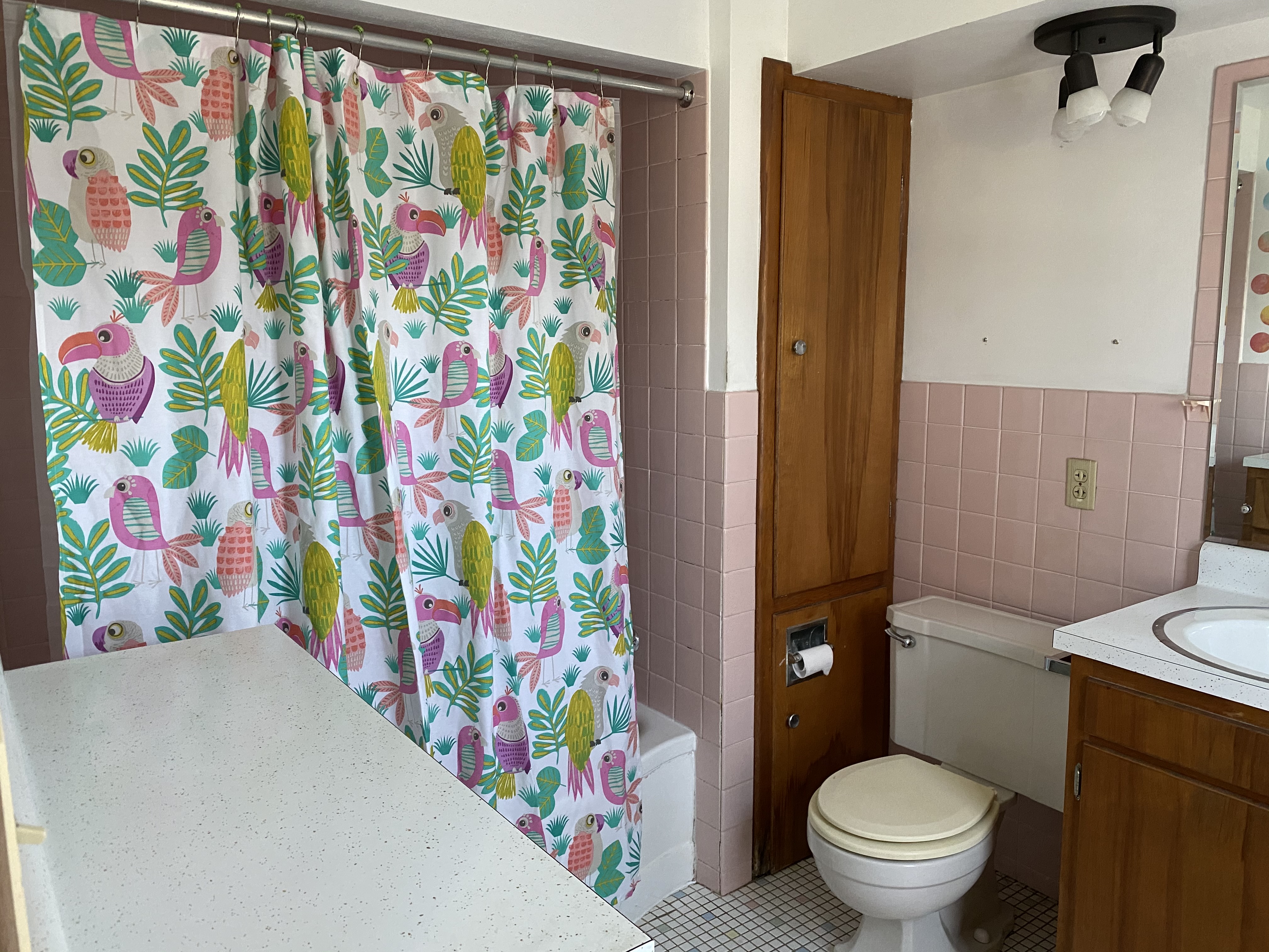 Farnham St, Princeton, IL 61356